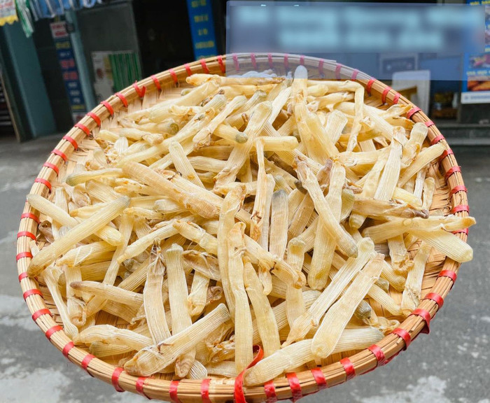 Sá sùng khô