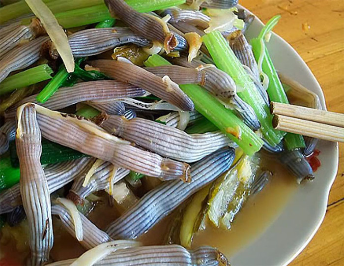 Món ăn từ sá sùng tươi
