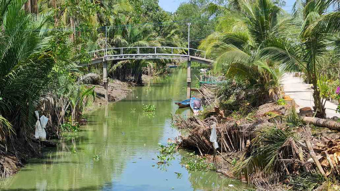 Khung cảnh quen thuộc ở Cà Mau. Ảnh: báo Lao Động