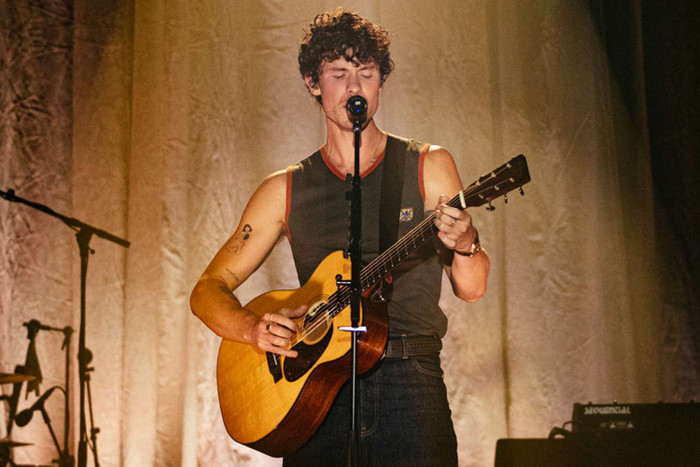 Shawn Mendes kỷ niệm 10 năm album Illuminate Ảnh 5
