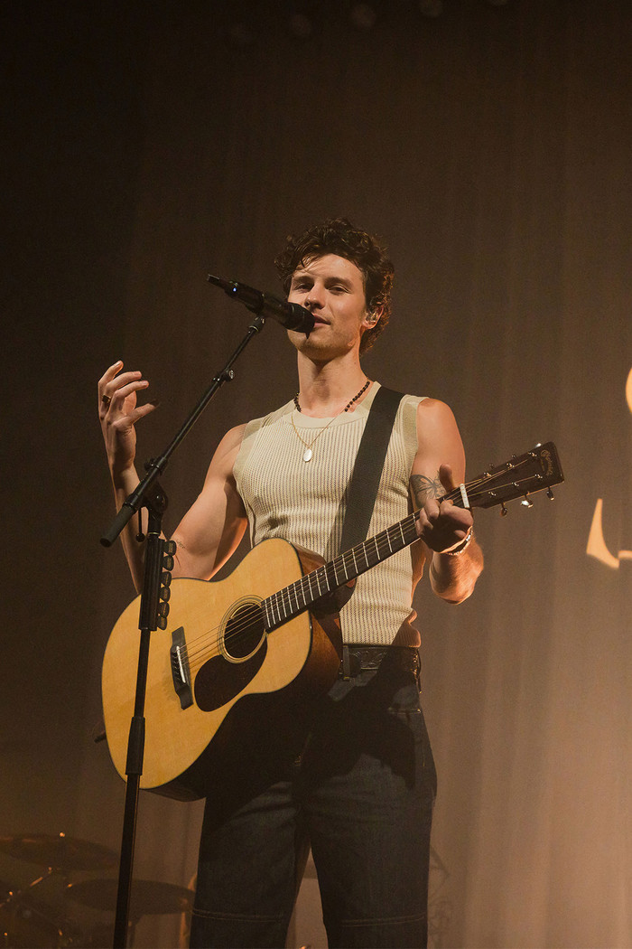 Shawn Mendes kỷ niệm 10 năm album Illuminate Ảnh 4
