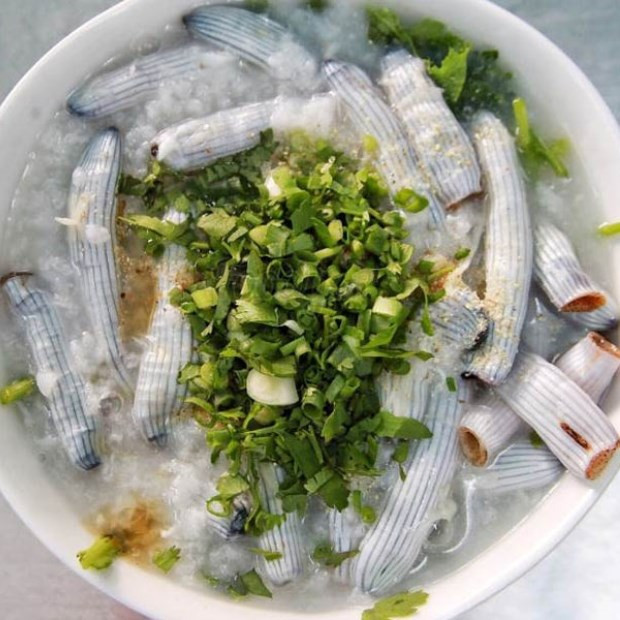 Sá sùng có thể chế biến thành nhiều món ngon khác nhau.