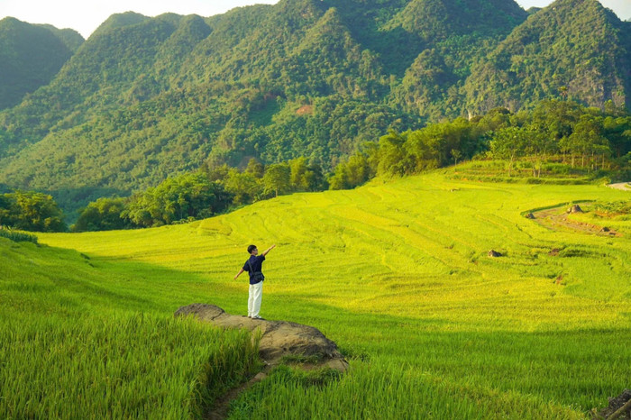 Những thửa ruộng bậc thang và con đường sườn đồi nối các bản làng Thái, Mường tạo nên bức tranh văn hóa - thiên nhiên đặc sắc. Ảnh: Phạm Văn Phong/báo Dân Việt