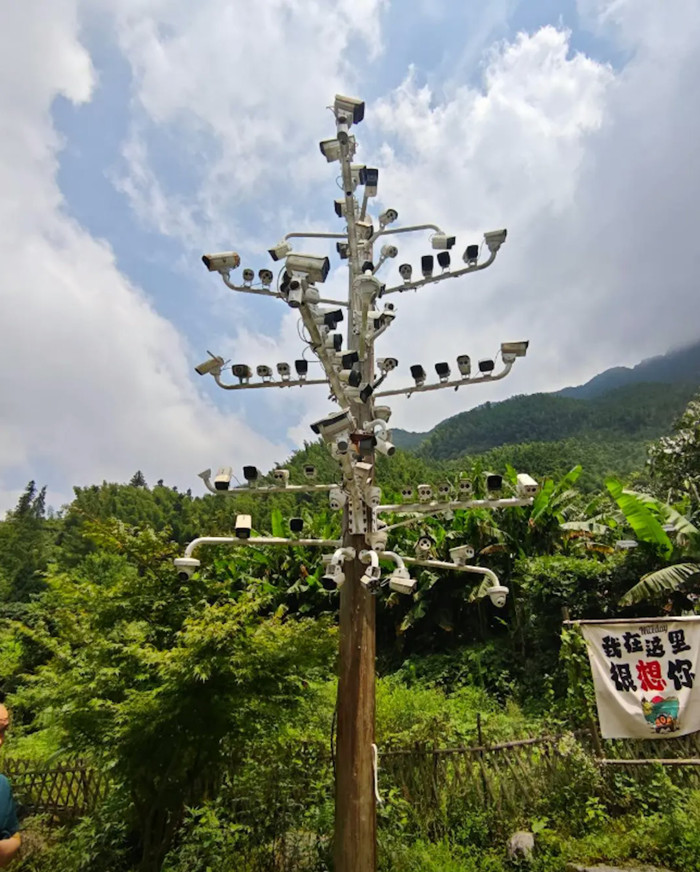 Xôn xao đoạn đường gắn 84 camera an ninh, sự thật gây sốc Ảnh 2