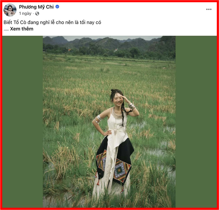 Hình ảnh về bộ trang phục khiến Phương Mỹ Chi vướng phải ồn ào.