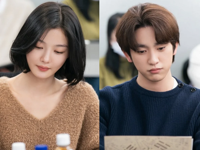 Kim Yoo-jung trở lại màn ảnh cổ trang với vai một nữ điệp viên bí mật thâm nhập chính phủ Joseon dưới thân phận phiên dịch viên. Park Jin-young đóng Kim Tae-woong, một phiên dịch viên mới được bổ nhiệm. Hai nhân vật bị cuốn vào mối quan hệ vừa nguy hiểm vừa khó đoán.