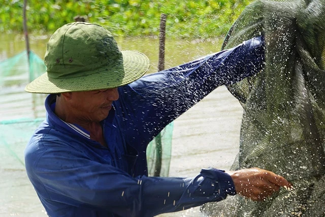 Đồng Tháp quê Hồ Văn Cường có một vẻ đẹp rất riêng khi mùa nước về Ảnh 3