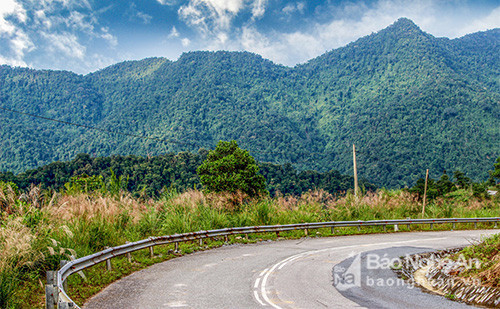 Ảnh: báo Nghệ An