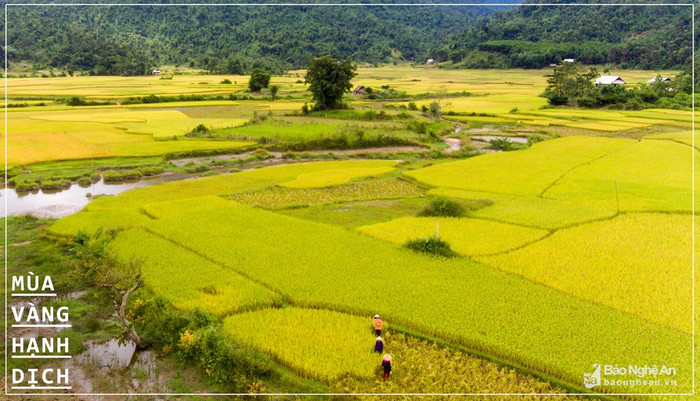 &nbsp;Người dân tất bật với công việc. Ảnh: báo Nghệ An