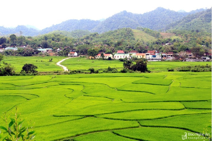Vẻ đẹp rất khác ở quê bà xã Hồ Văn Cường những ngày giao mùa Ảnh 4