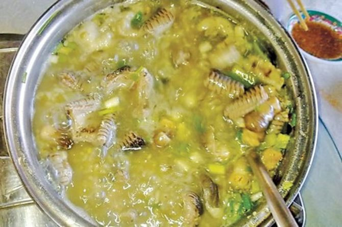 Cháo đậu xanh nấu với rắn hổ hành ở Đồng Tháp. Ảnh: Sưu tầm