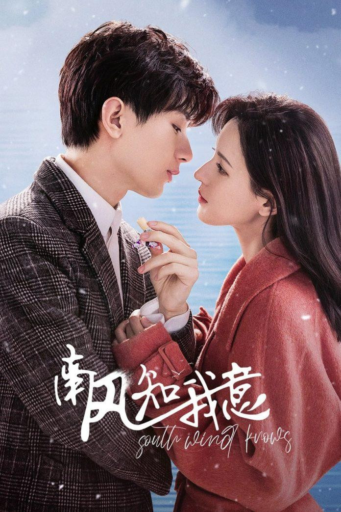 Gió Nam Hiểu Lòng Tôi tạo khác biệt khi kết hợp chuyện tình cảm với bối cảnh nghiên cứu y khoa. Thành Nghị và Trương Dư Hi vào vai Phó Vân Thâm và Chu Cựu, hai người cùng theo đuổi một dự án nghiên cứu liên quan đến thảo dược. Công việc, những biến cố bất ngờ và các bí mật gia đình khiến mối quan hệ của họ liên tục gặp trở ngại. Sau khi Phó Vân Thâm trải qua biến cố nghiêm trọng, Chu Cựu trở thành một trong những người giúp anh vượt qua giai đoạn khó khăn. Tuy nhiên, những hiểu lầm và câu chuyện phía sau gia đình tiếp tục đẩy cả hai vào những lựa chọn không dễ dàng, tạo thêm chiều sâu cho tuyến tình cảm.