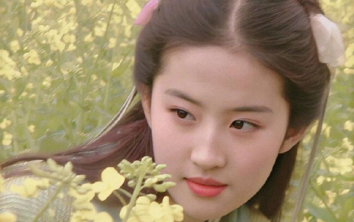 Ngắm loạt ảnh quá khứ của Lưu Diệc Phi: 18 tuổi đã có thần thái tiên tử Ảnh 2