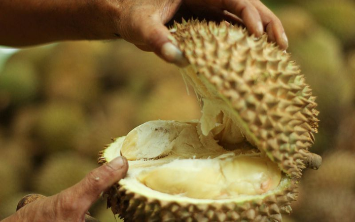 Gói hàng 4 quả sầu riêng khiến hàng chục người sơ tán Ảnh 2