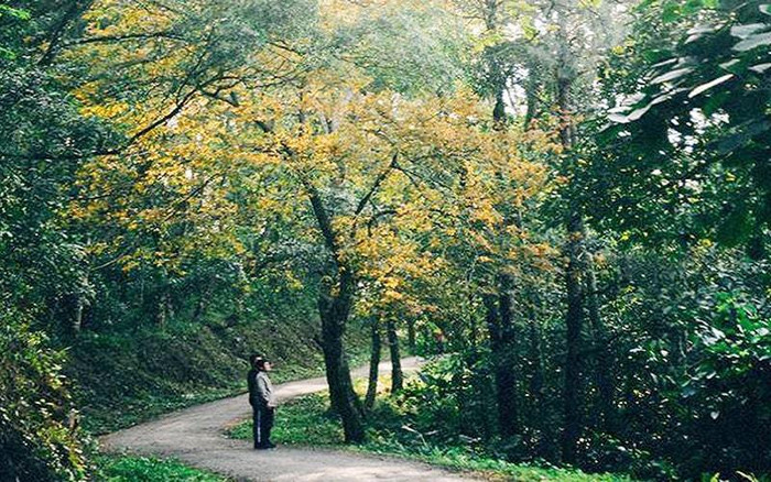 Trường đại học với 110ha rừng giữa thành phố: Chốn bình yên’ là đây Ảnh 8