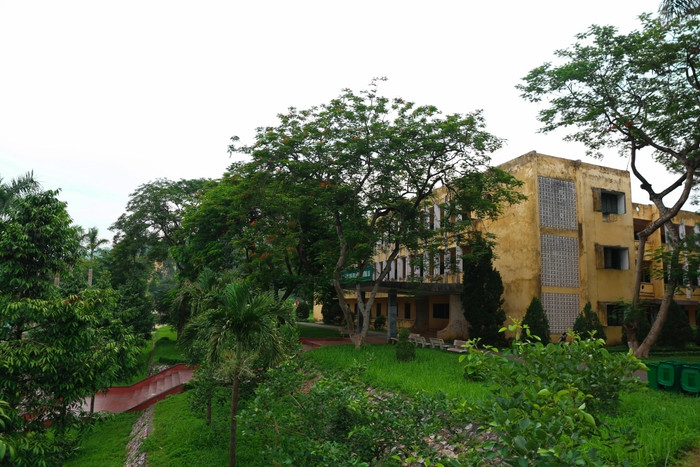 Trường đại học với 110ha rừng giữa thành phố: Chốn bình yên’ là đây Ảnh 5