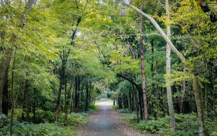 Trường đại học với 110ha rừng giữa thành phố: Chốn bình yên’ là đây Ảnh 2