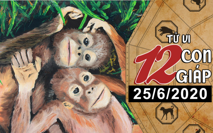 Tử vi thứ 5 ngày 25/6/2020 của 12 con giáp: Thân dễ vướng họa tiểu nhân, Tuất khó buông xuôi quá khứ Ảnh 2