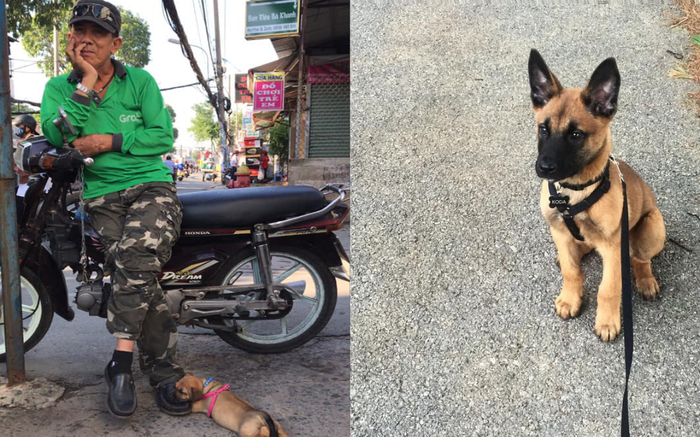 Góc đáng yêu: Bác tài xế không dám cử động chân để cho chú cún gối đầu ngủ Ảnh 2