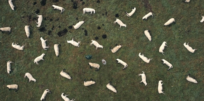 'Dark - Đêm lặng' mùa 3: Ngày ra mắt chính thức của mùa phim cuối Ảnh 4