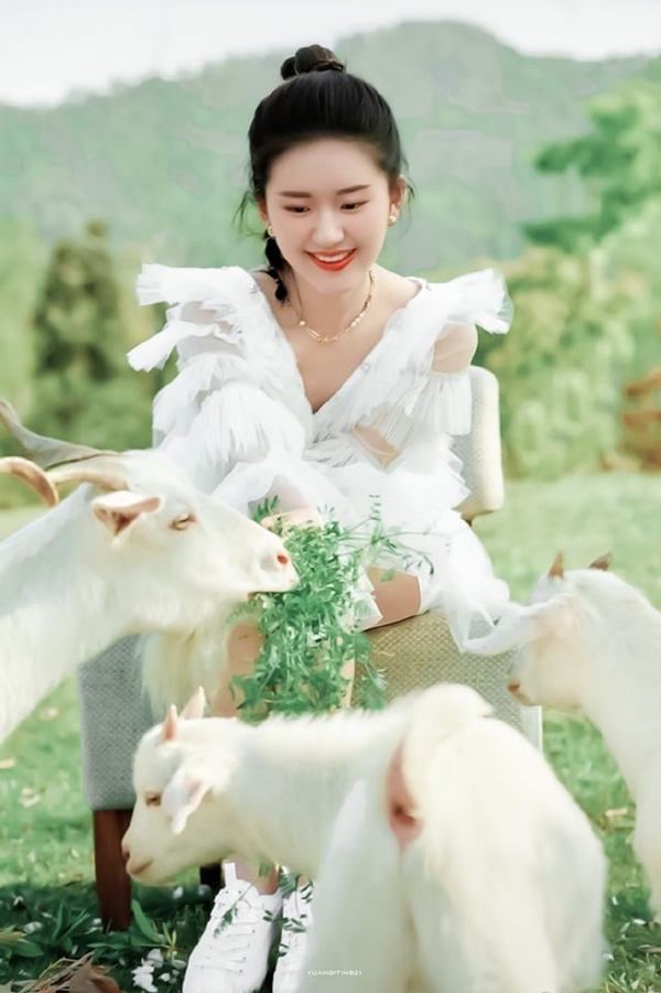 Dân mạng hy vọng Triệu Lộ Tư sánh đôi cùng Vương Nhất Bác thay vì Địch Lệ Nhiệt Ba trong 'Tử Xuyên' Ảnh 9