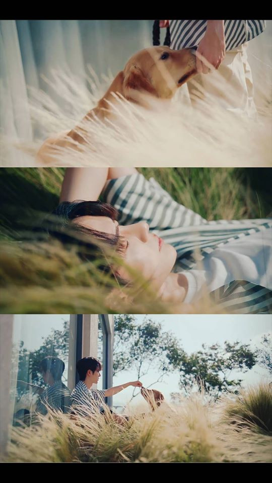 Vương Nhất Bác hóa bạn trai ấm áp trên photobook của Ximalaya Ảnh 35