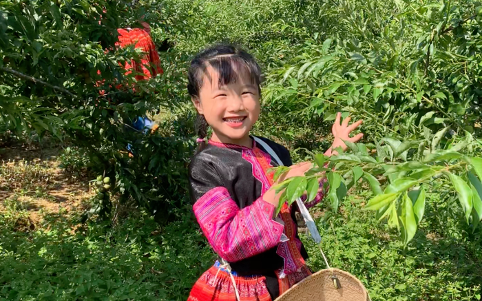 Cô bé 6 tuổi 'gây bão' với clip trải nghiệm ở Bản H’Mông Ảnh 2