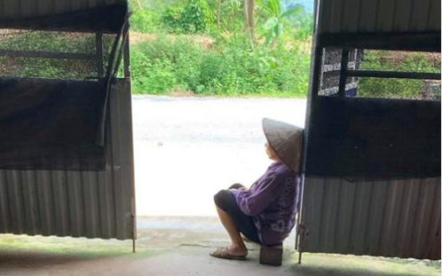 Bà cụ ngồi ở cửa đợi cháu suốt 3 năm và sự thật đằng sau khiến ai nấy cũng lặng người Ảnh 2