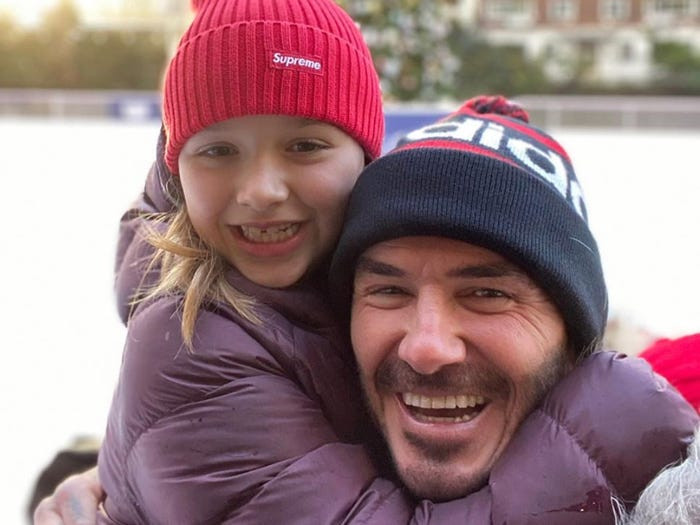 David Beckham và Victoria Beckham ủy quyền cho nghệ sĩ Damien Hirst tạo ra một tác phẩm nghệ thuật có tên ‘Daddy's Girl’ (Con gái của bố) cho bé Harper vào tháng 8 năm 2012. Bức tranh được miêu tả sơ bộ gồm một trái tim lớn với những chú bướm bay xung quanh - ước tính trị giá 600.000 bảng (17.3 tỷ VNĐ). 'Tôi vẫn còn ngạc nhiên khi chúng tôi có một bé gái. Thật tuyệt vời' - David nói với tạp chí Vogue.