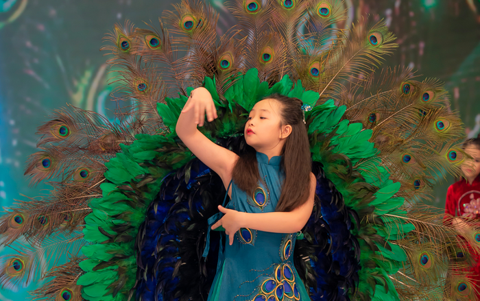 Dàn mẫu nhí khoe thần thái trong loạt áo dài gấm rực rỡ sắc màu Ảnh 2