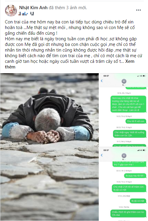 Nhật Kim Anh tiếp tục tố chồng cũ 'chiêu trò' không cho thăm con 