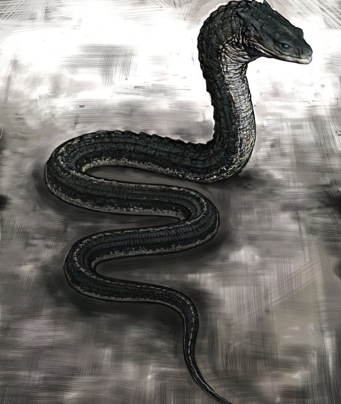 Con Tử Xà của Salazar Slytherin.