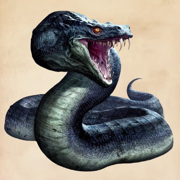 Tìm hiểu về Basilisk: Sinh vật huyền bí đáng sợ nhất thế giới Harry Potter Ảnh 3