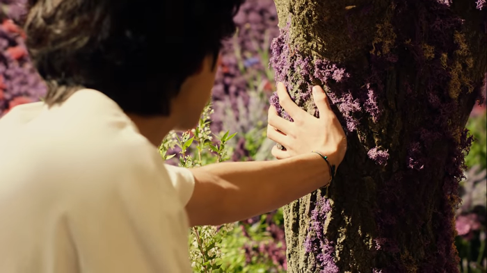 Giải mã 21 chi tiết đắt giá của MV 'Stay Gold' của BTS Ảnh 45