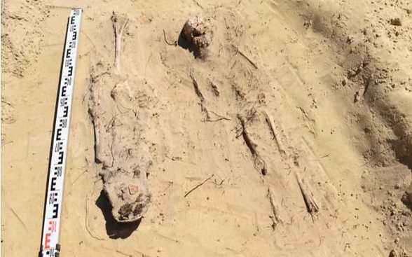 Phát hiện nhiều bộ hài cốt trẻ em ngậm đồng xu trong miệng Ảnh 2