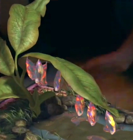 Trứng của Tiên Nhí ở mặt dưới lá cây.