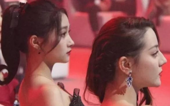 Địch Lệ Nhiệt Ba 'tắt nắng' khi sánh vai cùng Quan Hiểu Đồng: Netizen gật gù với con mắt thẩm mỹ của Lộc Hàm Ảnh 2