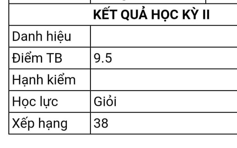 Điểm tổng kết 9.5, nam sinh chỉ xếp hạng thứ 38 và lí do khiến nhiều người bất ngờ Ảnh 2