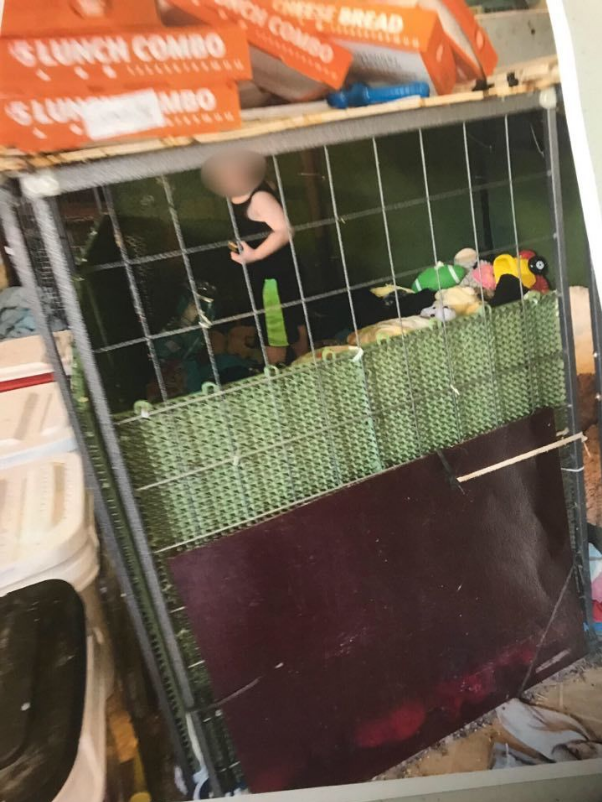 Bé trai 18 tháng bị mẹ và người thân nhốt trong chuồng chó.