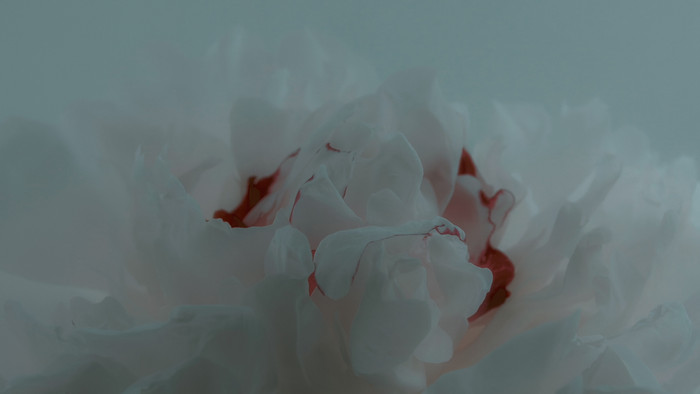 41 giây teaser Có chắc yêu là đây từ Sơn Tùng M-TP: Nhạc nghe na ná Chạy ngay đi, hình ảnh tối om đến mức gây khó chịu Ảnh 6