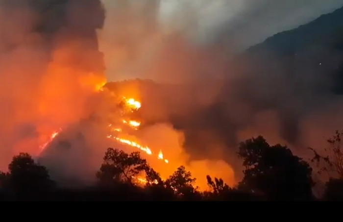 Rừng phòng hộ ở Hà Tĩnh bùng cháy.