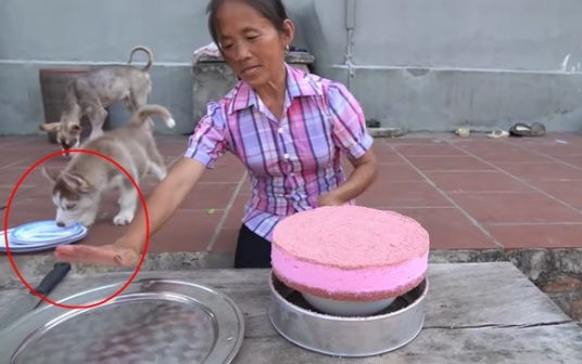 Phá lệ làm món ăn sang chảnh, Bà Tân Vlog bị cư dân mạng 'soi' ra điểm bất thường khi chế biến Ảnh 2