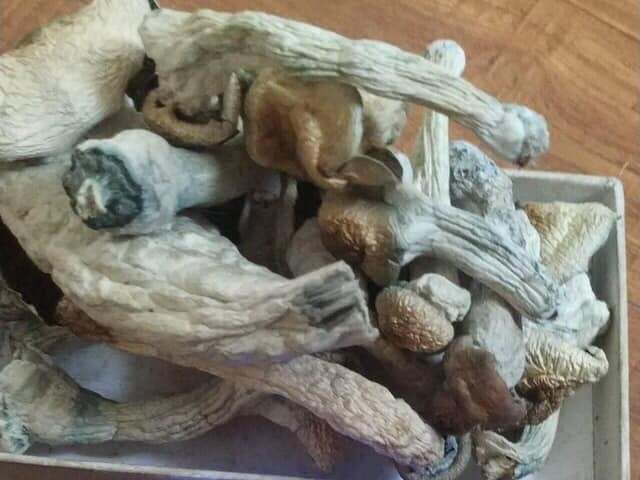 Tang vật vụ án&nbsp;