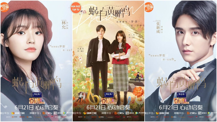 Ốc sên và chim hoàng oanh 