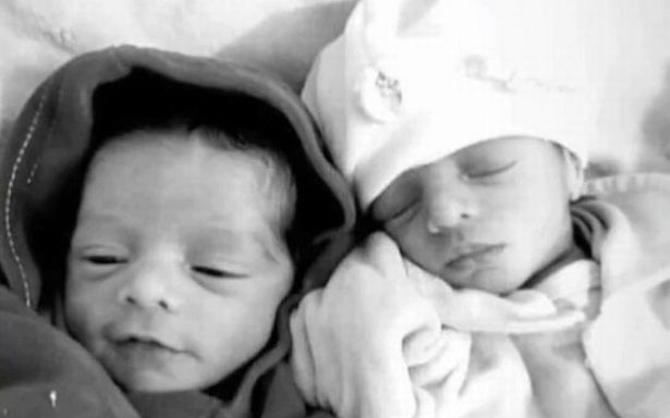 Chó cưng ghen tỵ cắn chết hai con sơ sinh của chủ Ảnh 2