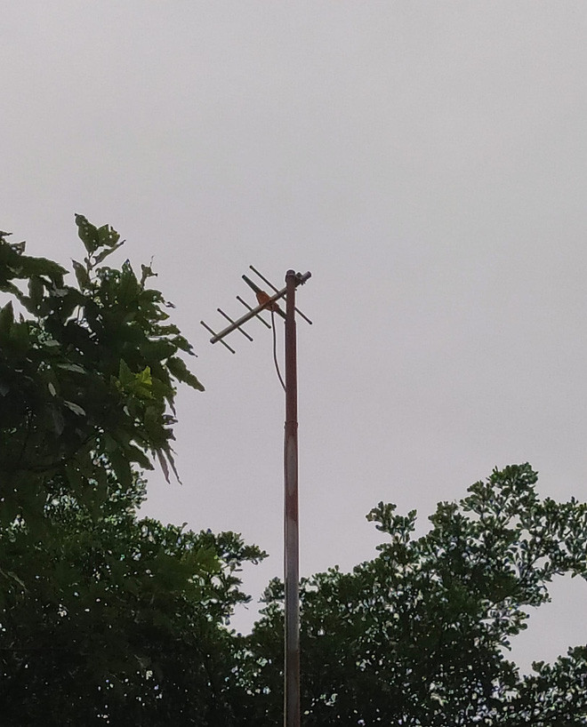 Ăng-ten chính là một trong những 'huyền thoại' của tuổi thơ nhiều người. Ảnh: Trần Thị Chi, Hồng Ánh