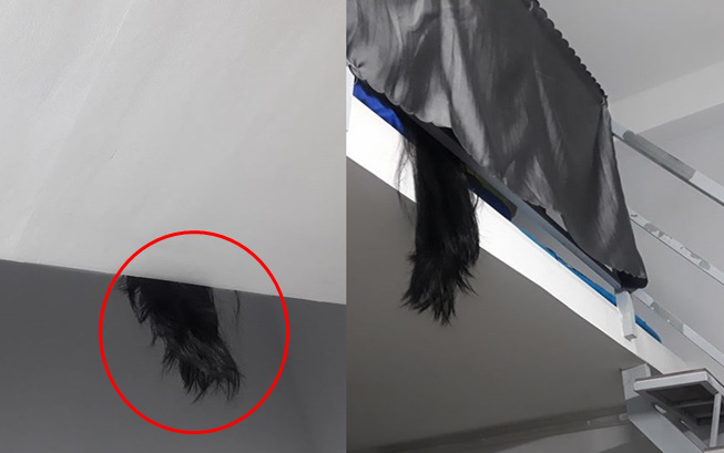 Mỗi lần tỉnh giấc, cô gái trẻ lại giật mình thon thót khi thấy mái tóc dài của bạn cùng phòng vắt lơ lửng trên gác xép Ảnh 2