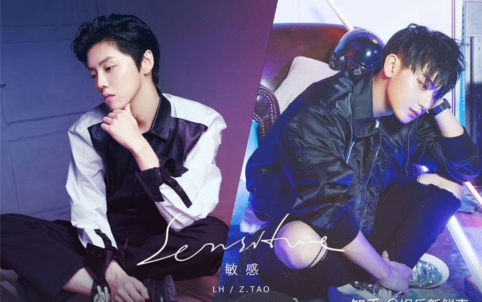 Lộc Hàm có thêm thân phận mới khi kết hợp với Hoàng Tử Thao trong 'Mẫn cảm' và lời bài hát gây tranh cãi Ảnh 2