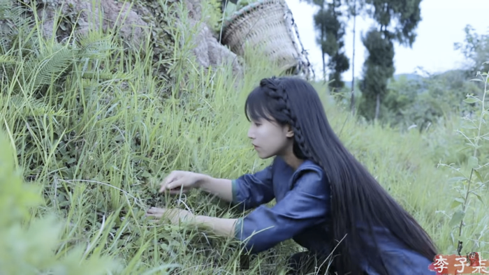 Hình ảnh thường thấy trong các video của Vlogger Lý Tử Thất.
