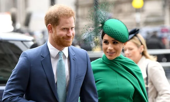 Hoàng gia bàng hoàng trước việc Meghan nói không được bảo vệ trong lúc mang thai’ Ảnh 1